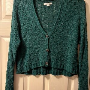 American Eagle Women's Crop Green Sweater, Size LG